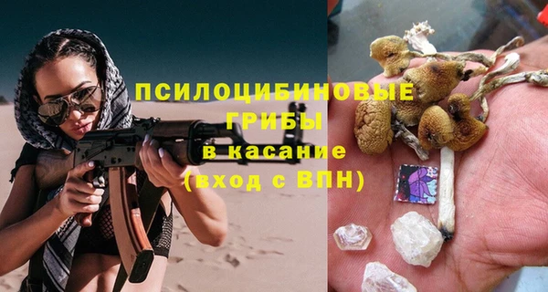 дурь Михайловск