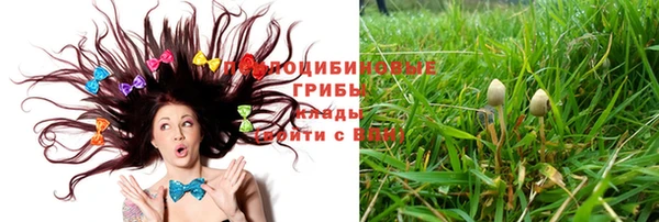 тгк Михайловка