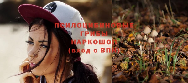 тгк Михайловка