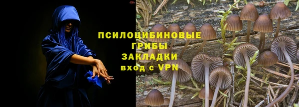 дурь Михайловск