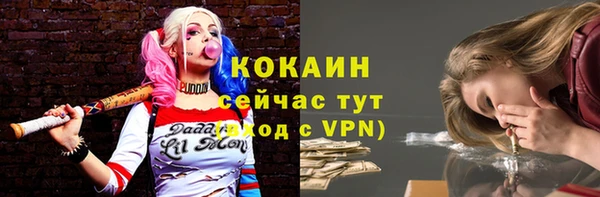 дурь Михайловск