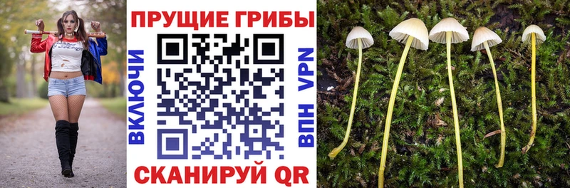 Псилоцибиновые грибы мухоморы  гидра tor  Зверево 