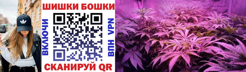 Бошки Шишки Amnesia Зверево